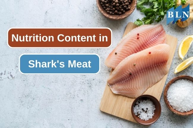 Essential Nutrition Content in Sharks Meat